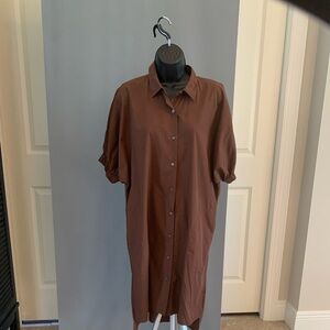Brown Dolman Sleeve Dress